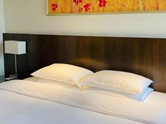 -深圳东门凯悦嘉轩酒店