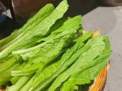 小青菜-阿婆情腊排骨火锅·野生菌季(古城旗舰店)