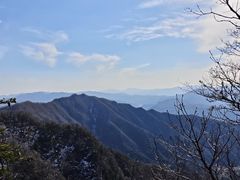-王顺山国家森林公园