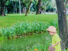 -人民公园(罗湖区)