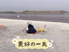 -呼兰河口湿地公园