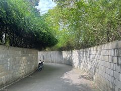 -成都南湖公园