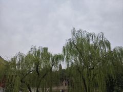 -洛阳白马寺