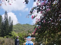 -青青世界