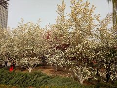 -元大都城垣遗址公园