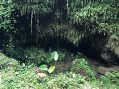 -海口火山口国家地质公园