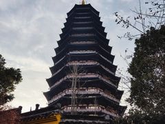 -红梅公园