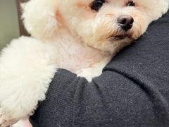 -阿露佳·舌尖上的安吉菜