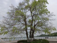 -云里小坐·海泉湾·团建·宴席·下午茶(金堂海泉湾店)