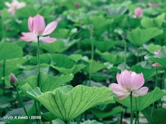 -长春净月潭风景名胜区