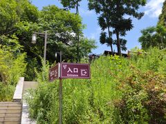 -高荡千年布依古寨旅游景区