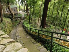 -莫干山风景区