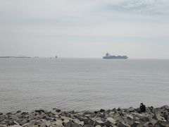 -上海滨江森林公园
