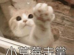 -鬼味烤翅(南锣鼓巷店)