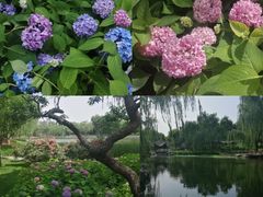 -陶然亭公园