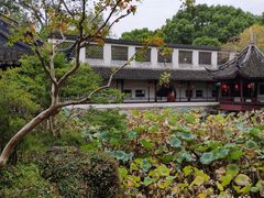 -上海醉白池公园