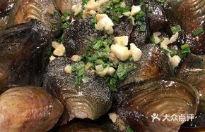 Freshwater Mussel