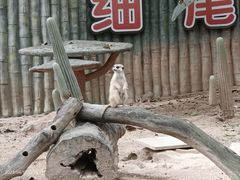 -深圳野生动物园