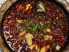 秦岭一号鱼-小杨烤肉(高新店)