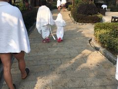 -天目湖涵田半山温泉