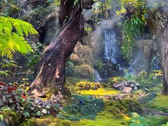 -Chom Cafe and Restaurant