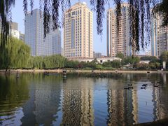 -团结湖公园