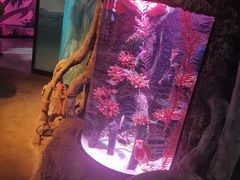 -沈阳海洋探索中心