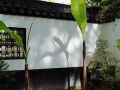 -上海醉白池公园
