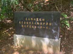 -马王堆汉墓遗址