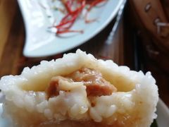 茨毛圆子-双塔老饭店