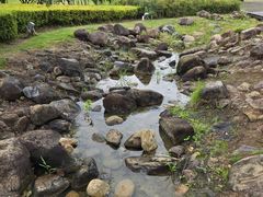 -白塘生态植物园