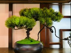 -梁溪河畔·吉府花园(南长街南下塘店)