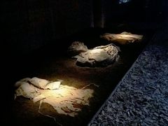 -無用生活空间(北京店)