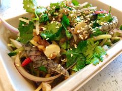 凉拌爽鱼皮-肥安娜·小吃·饮品