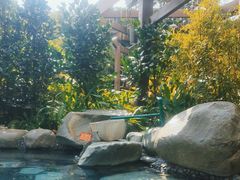 -台山颐和温泉城