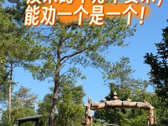 -黄陂区野村谷景区