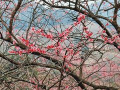 -宁波溪口古镇-民国大杂院