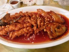 -真定郝家排骨(正定县总店)