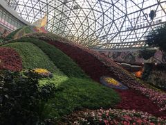 -花之城