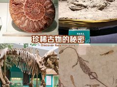 -甘肃省博物馆