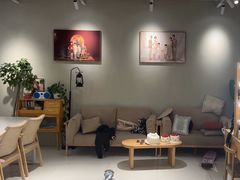 -iF摄影•全家福•证件照•形象照(南山店)