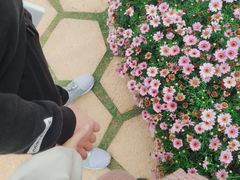 -狐尾山公园