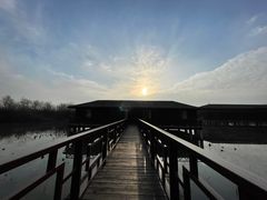 -泗洪洪泽湖湿地景区