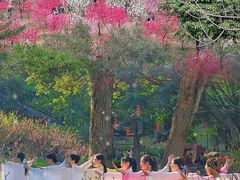 -桃花涧