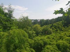-莫干山风景区