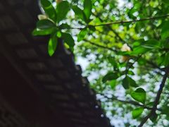 -石湖景区