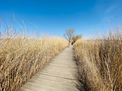 -野鸭湖国家湿地公园