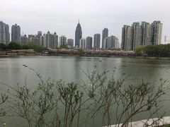 -西北湖绿化广场
