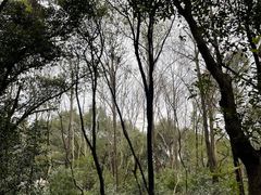 -杭州半山国家森林公园