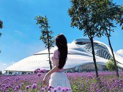 -哈尔滨大剧院